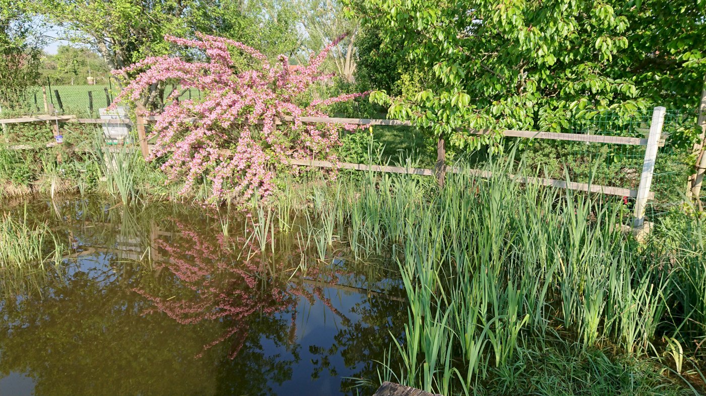 ph10_47772