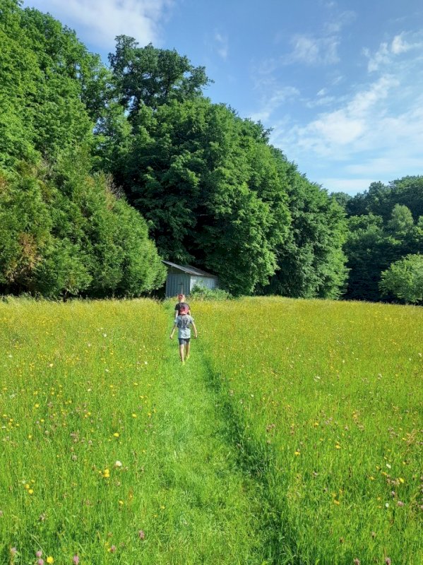 Maison à Thienans (haute Saône) - Photo 11 - Thiénans