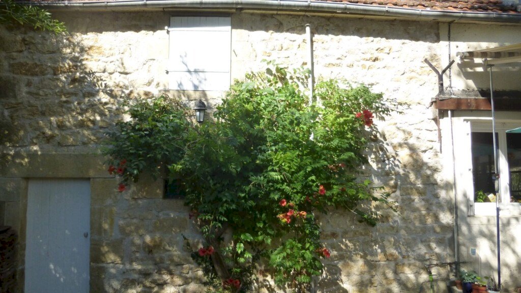 ph11_48347