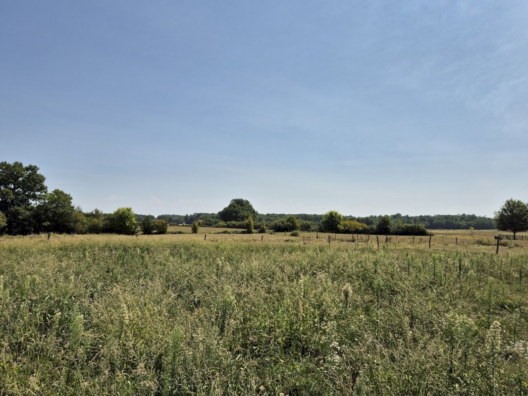 Magnifique Propriétaire equestre familiale - Photo 12 - Sornay