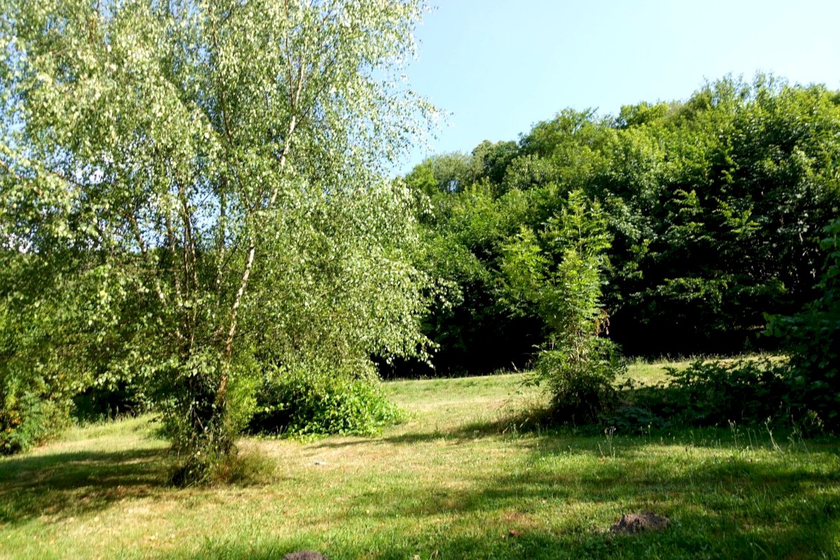ph13_47547