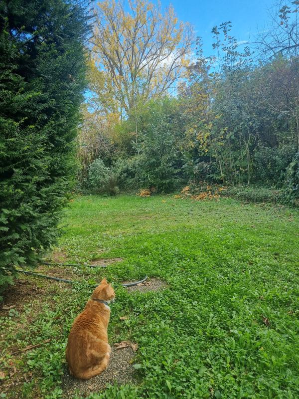 ph14_46346