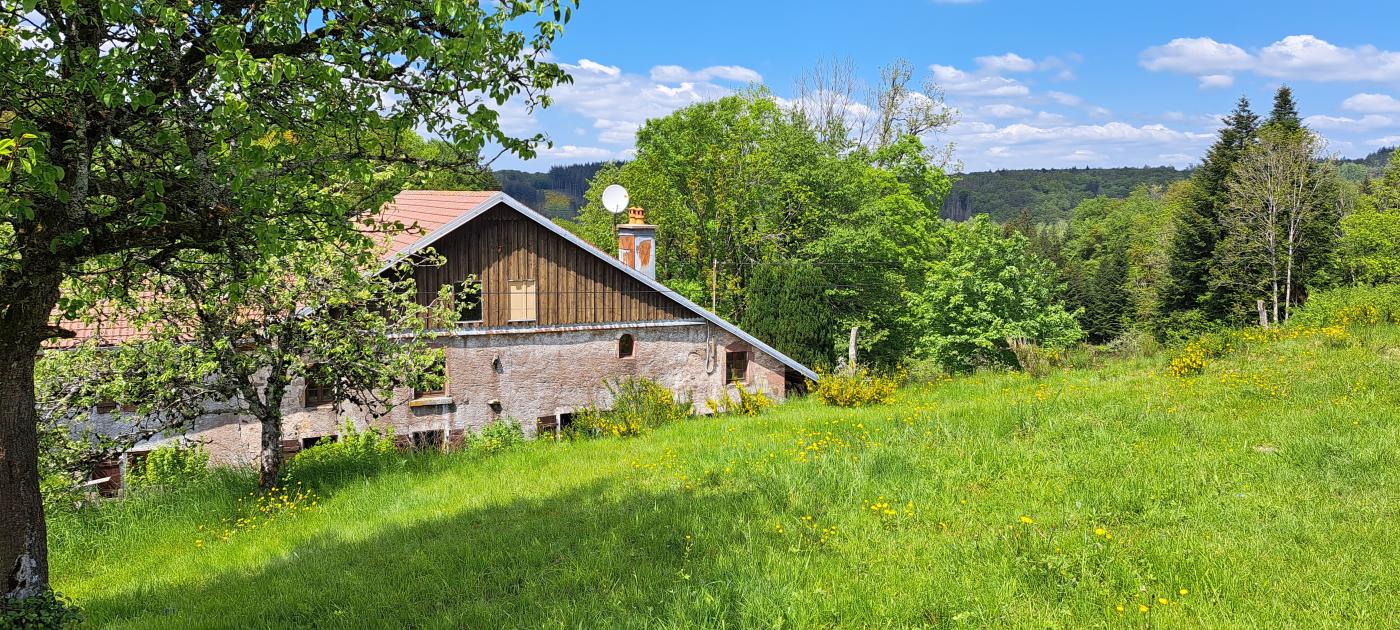 FERME PLATEAU DES MILLE ETANGS - Photo 1 - Servance-Miellin