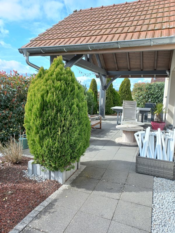 Belle Maison 5 pièces Longevelle sur Doubs - Photo 2 - Longevelle-sur-Doubs