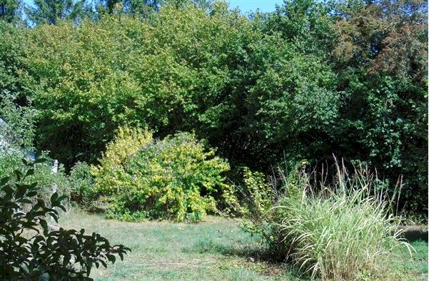 Grande maison dans PNR Morvan avec terrain de 29000m² - Photo 2 - Montsauche-les-Settons