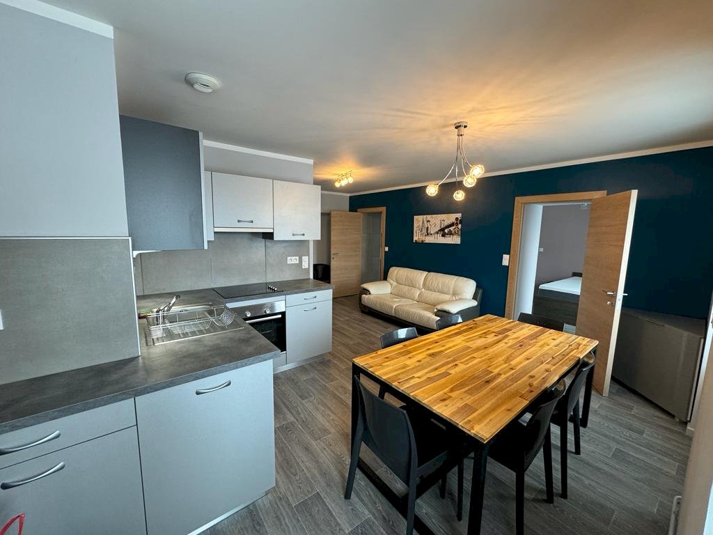 Appartement type T2 - Photo 2 - Saint-Laurent-en-Grandvaux