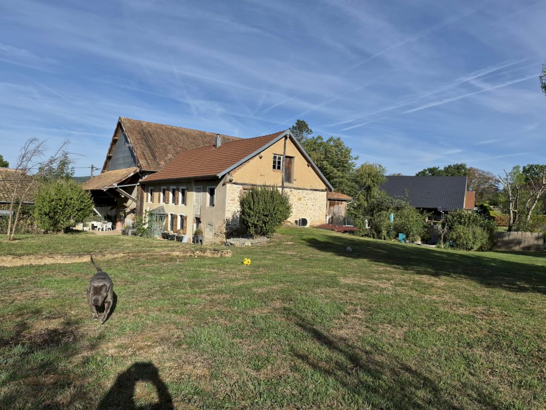 Maison, local commercial et grange - Photo 2 - Menoncourt