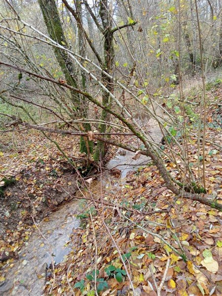 Grande maison dans PNR Morvan avec terrain de 29000m² - Photo 3 - Montsauche-les-Settons