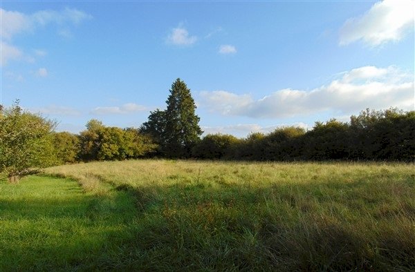 Grande maison dans PNR Morvan avec terrain de 29000m² - Photo 4 - Montsauche-les-Settons