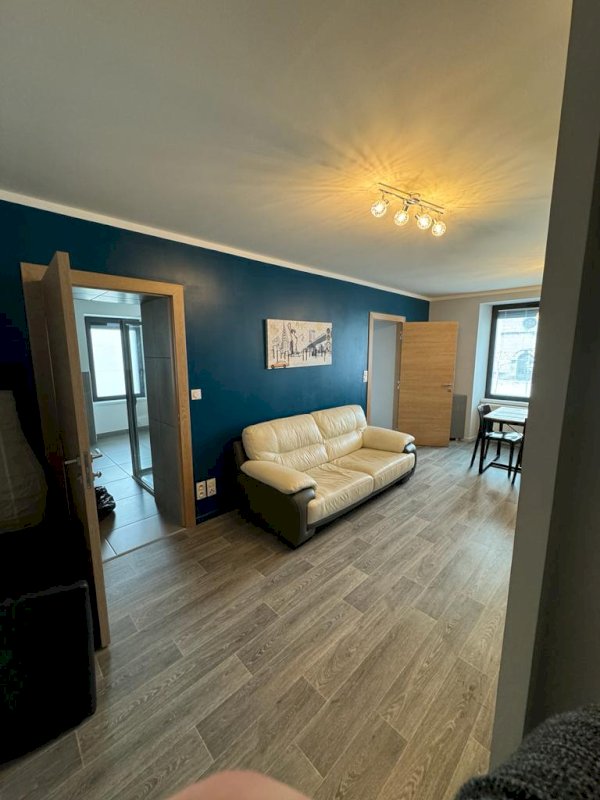 Appartement type T2 - Photo 4 - Saint-Laurent-en-Grandvaux