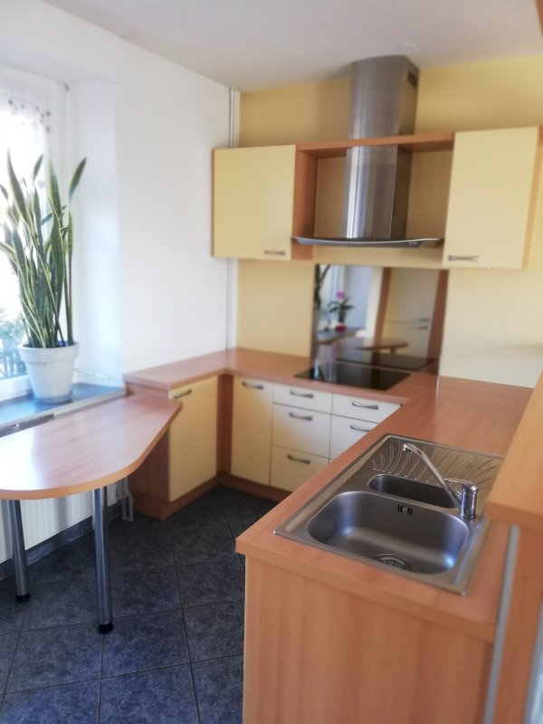 F4 Duplex - Photo 6 - Belfort