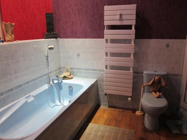 Appartement F3 - Photo 7 - Lons-le-Saunier