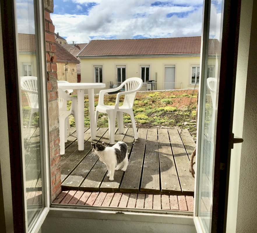 Bâtiment - Photo 7 - Beaucourt