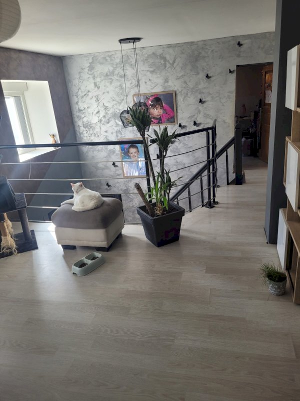 Maison, local commercial et grange - Photo 9 - Menoncourt